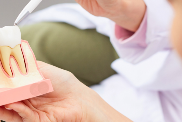 Hands holding model of dental implant with teeth in gum.